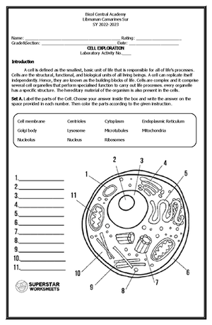 Chapter 3 format - CHAPTER III METHODOLOGY This chapter presents the ...