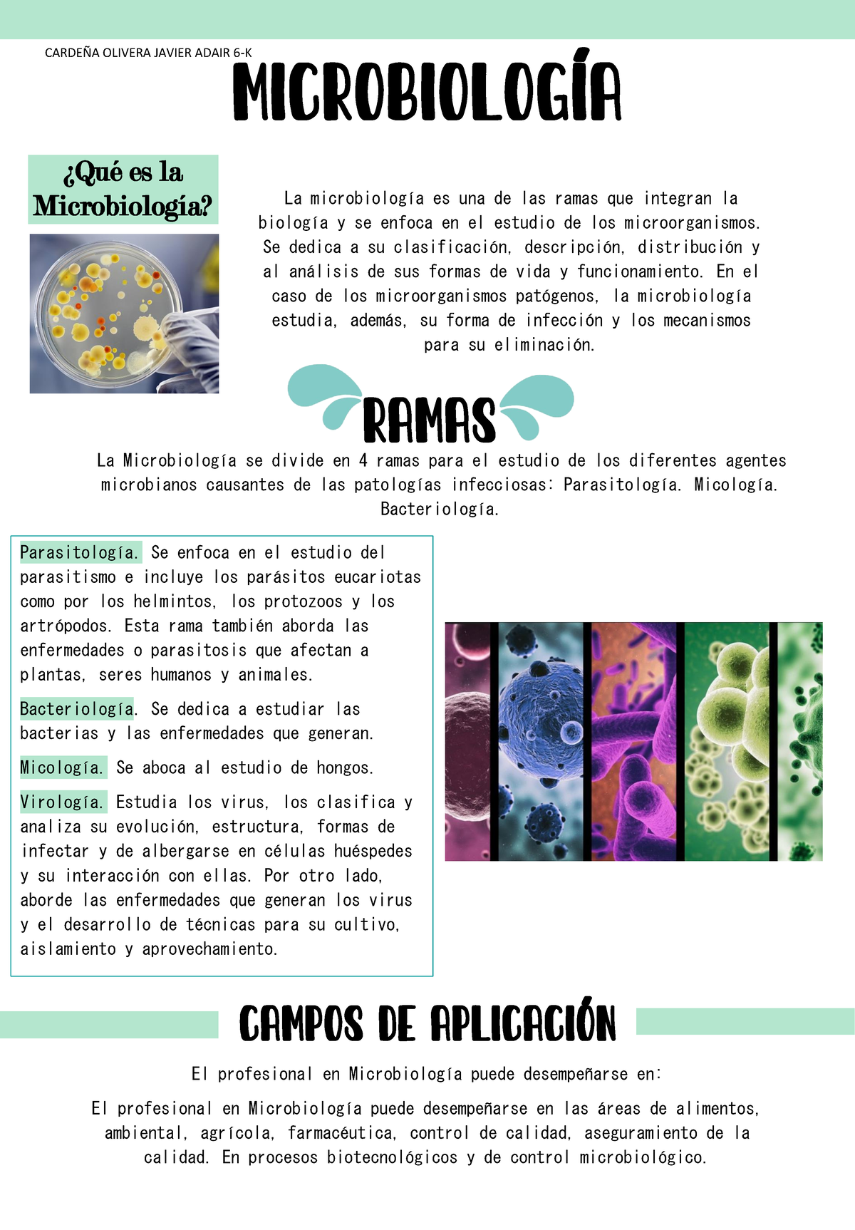 Infografia de microbiologia - CARDEÑA OLIVERA JAVIER ADAIR 6-K La ...
