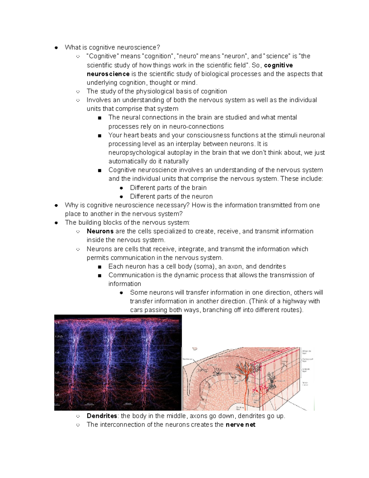 lecture-2-cognitive-neuroscience-what-is-cognitive-neuroscience