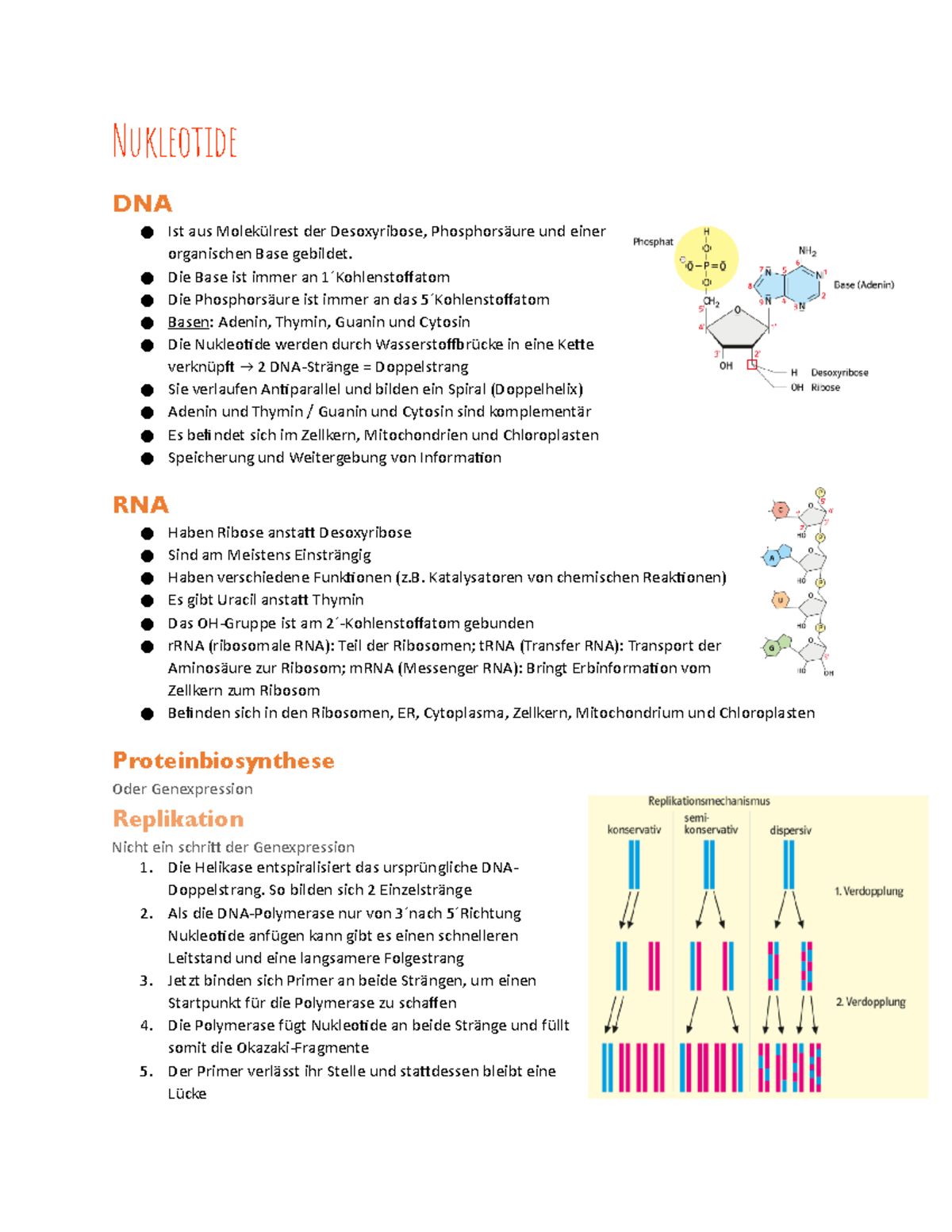Nucleotide Nukleotide DNA Ist aus Molekülrest der Desoxyribose
