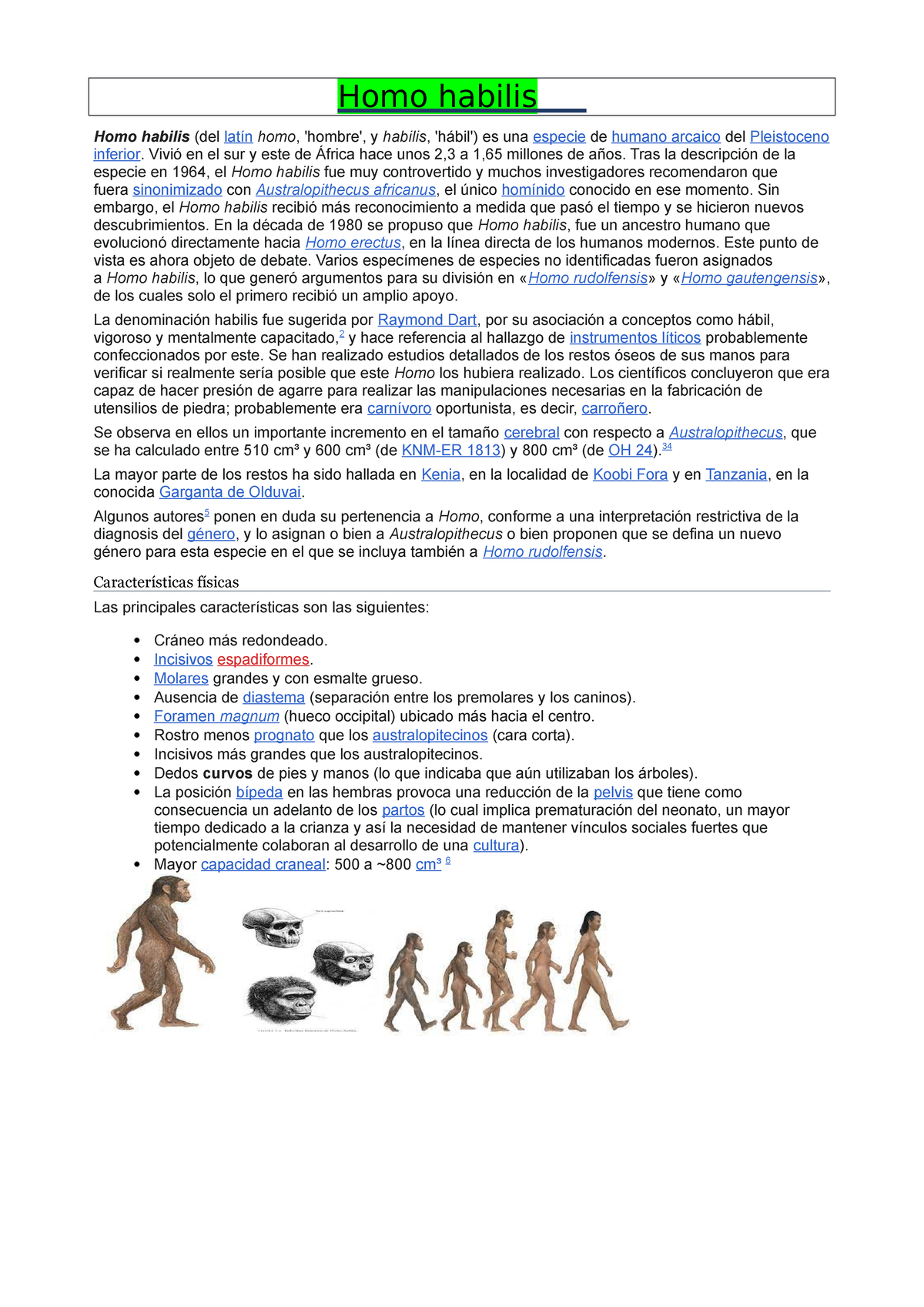 Homo Habilis Y La Evolución Del Humano - Homo Habilis Homo Habilis (del ...