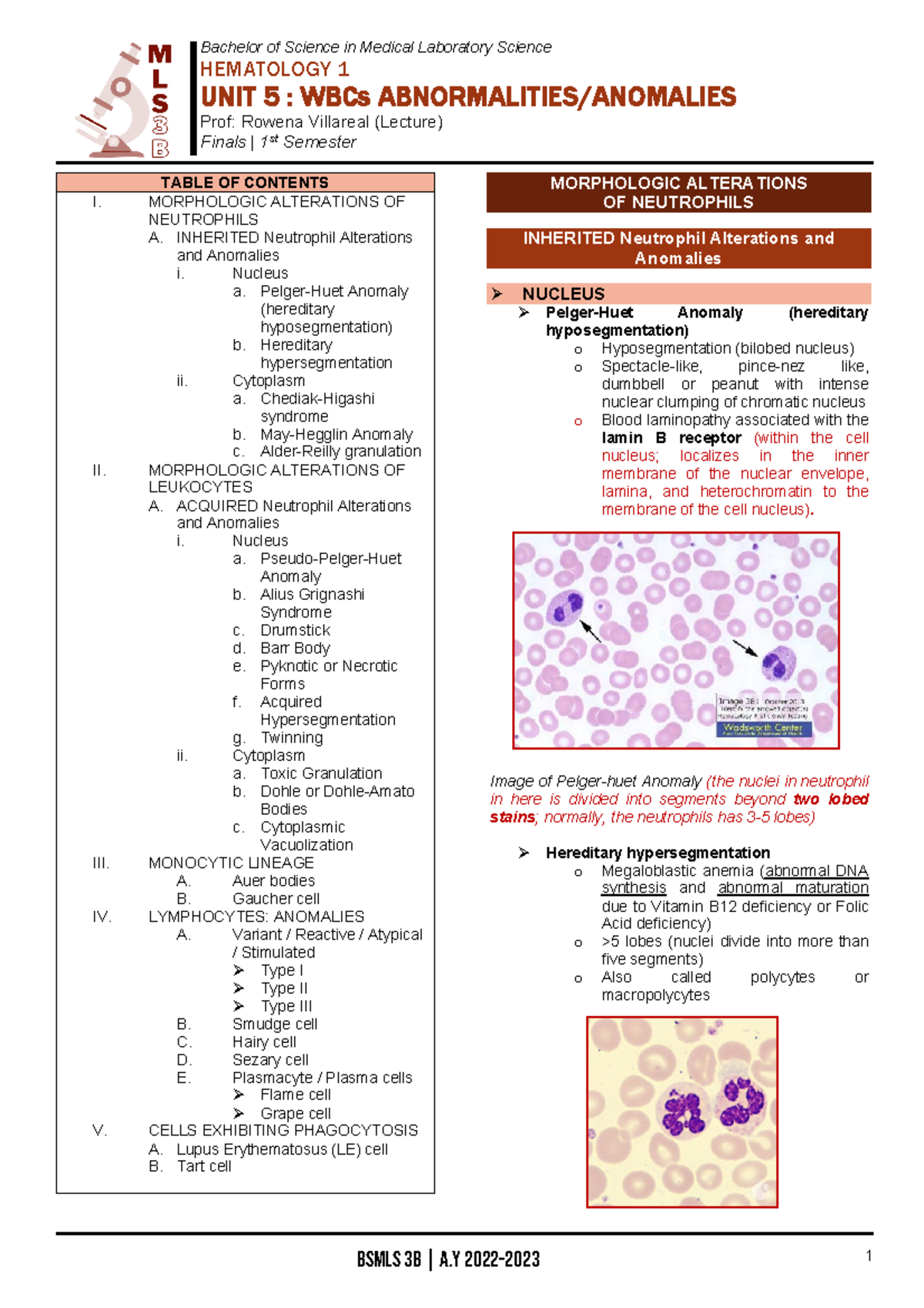 HEMA Unit5 WBCs Abnormalities - Bachelor of Science in Medical ...
