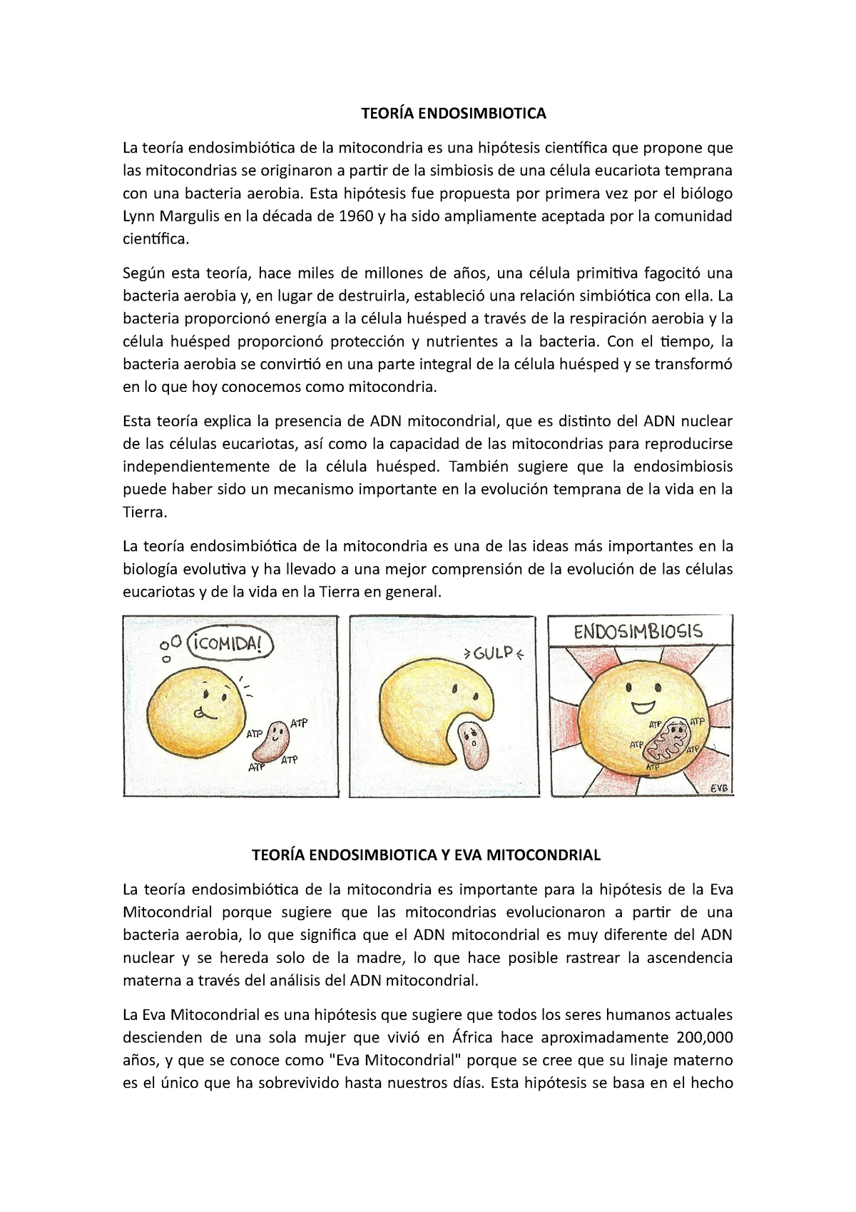 Teoría Endosimbiotica TeorÍa Endosimbiotica La Teoría Endosimbiótica De La Mitocondria Es Una 6319