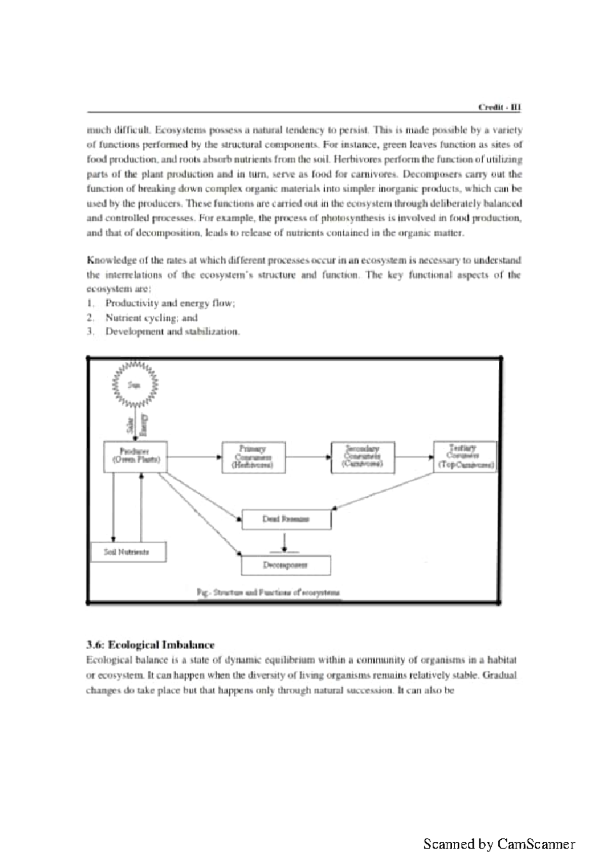 human geography dissertation topics