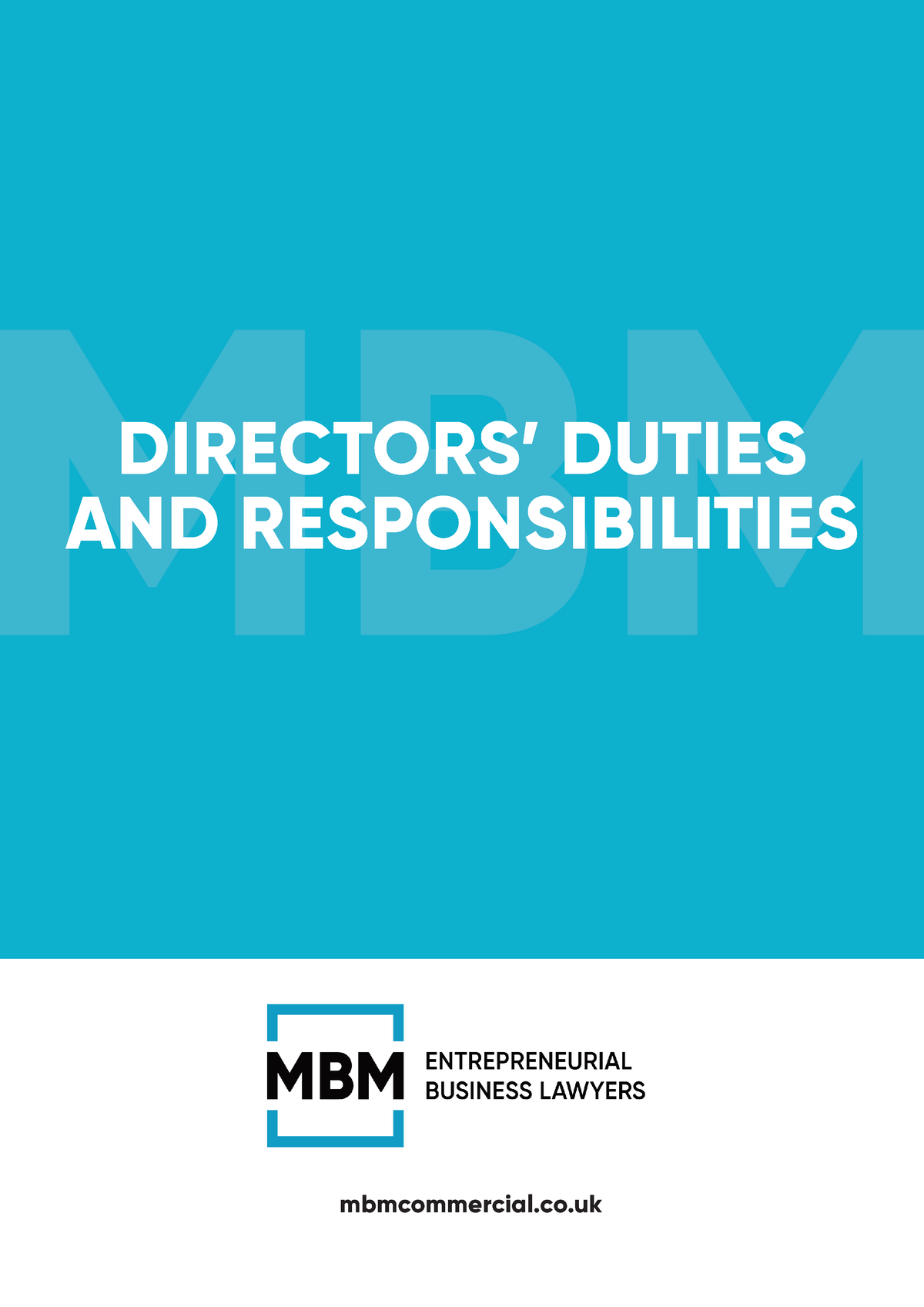 Directors Duties And Responsibilities Directors