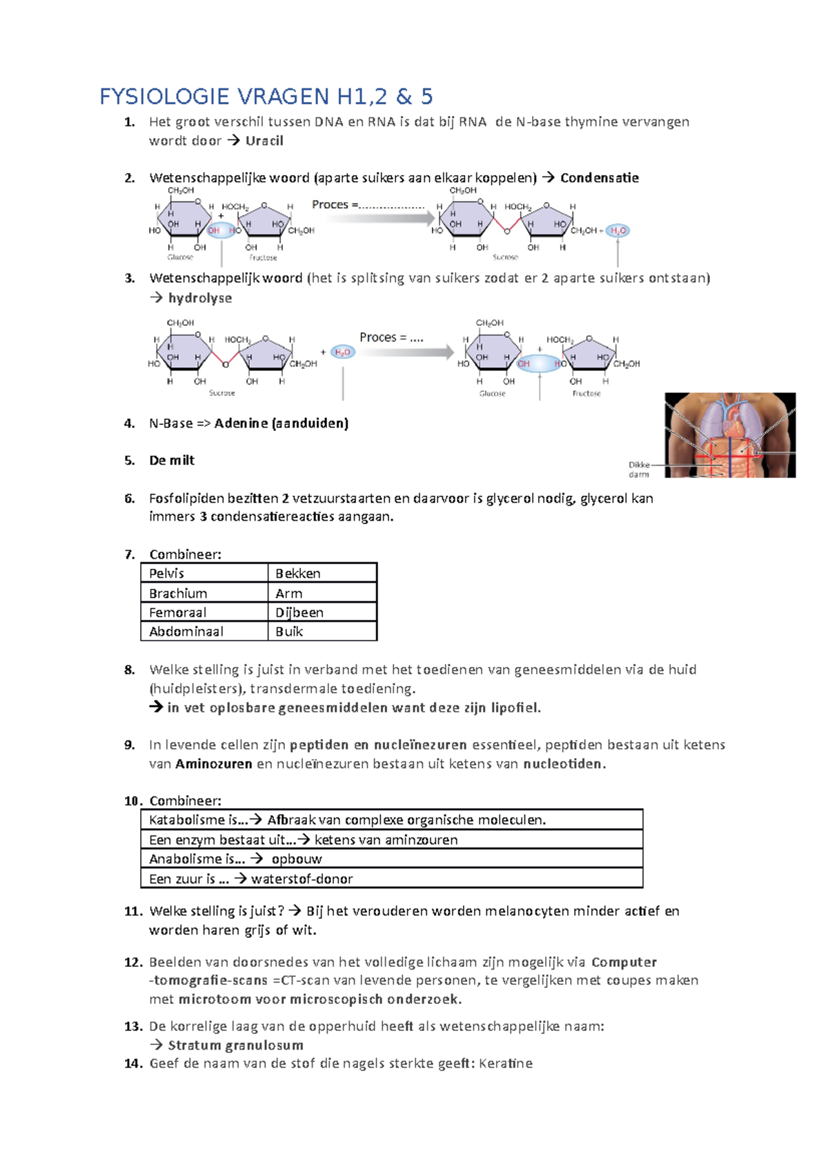 Fysiologie Vragen Toetsjes - FYSIOLOGIE VRAGEN H1,2 & 5 1. Het Groot ...