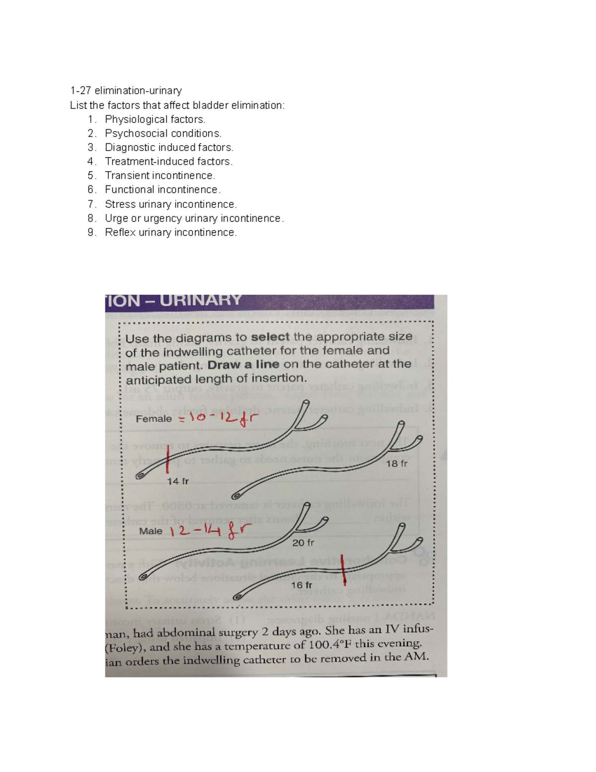 1-27-elimination-urinary-system-1-27-elimination-urinary-list-the