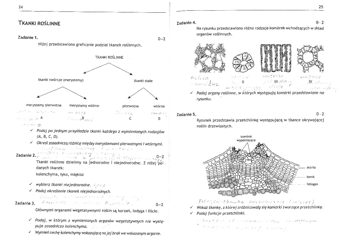Tkanki I Organy Roślinne Sprawdzian Klasa 5 Bukała organy i tkanki zadania - 24 25 TKANKI ROSLINNE Zadanie 4. Na