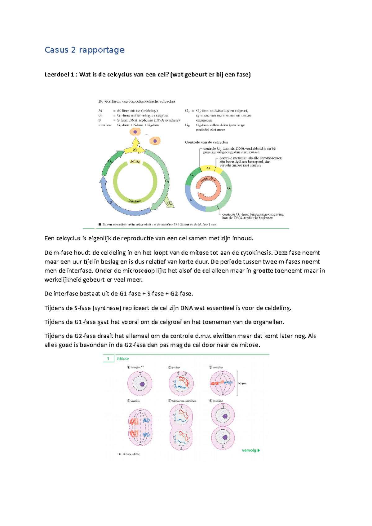 Casus 2 Casus 2 Rapportage Leerdoel 1 Wat Is De Celcyclus Van Een