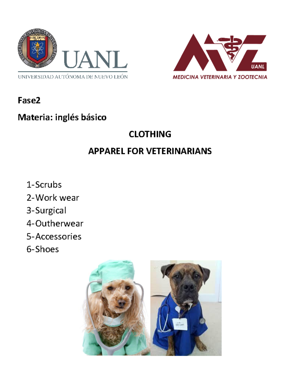 Veterinary Apparel Resumen Lengua Inglesa Fase Materia inglés