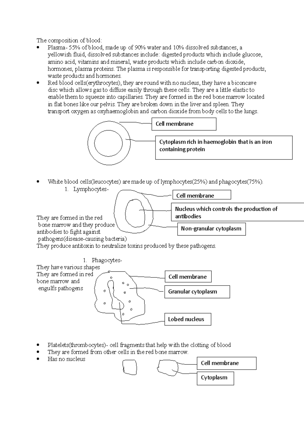 The composition of blood - The plasma is responsible for transporting ...