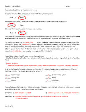 Honors+Bio+final+exam+review+2019 - Final Exam Review DNA Label EVERY ...