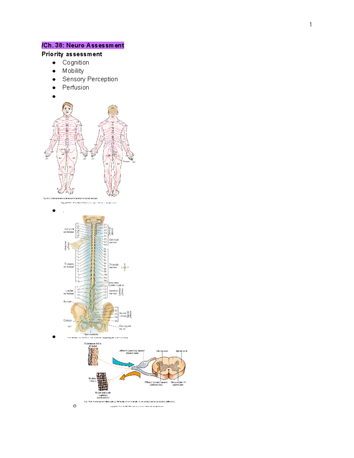 Exam 4 Med Surg Spring - Exam 4 Lecture Notes - /Ch. 38: Neuro ...