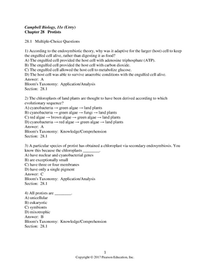 Chapter 3 Practice Problems - 1 2 Flies With Normal (transparent, Long ...