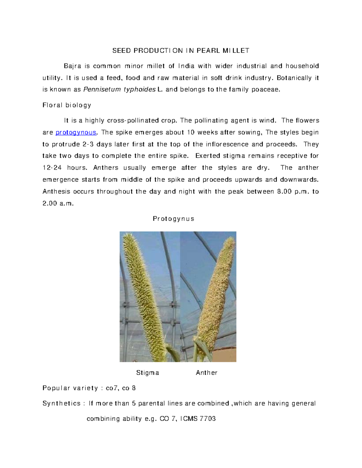 SEED Production IN Pearl Millet SEED PROD UCTI ON I N PEARL M I LLET