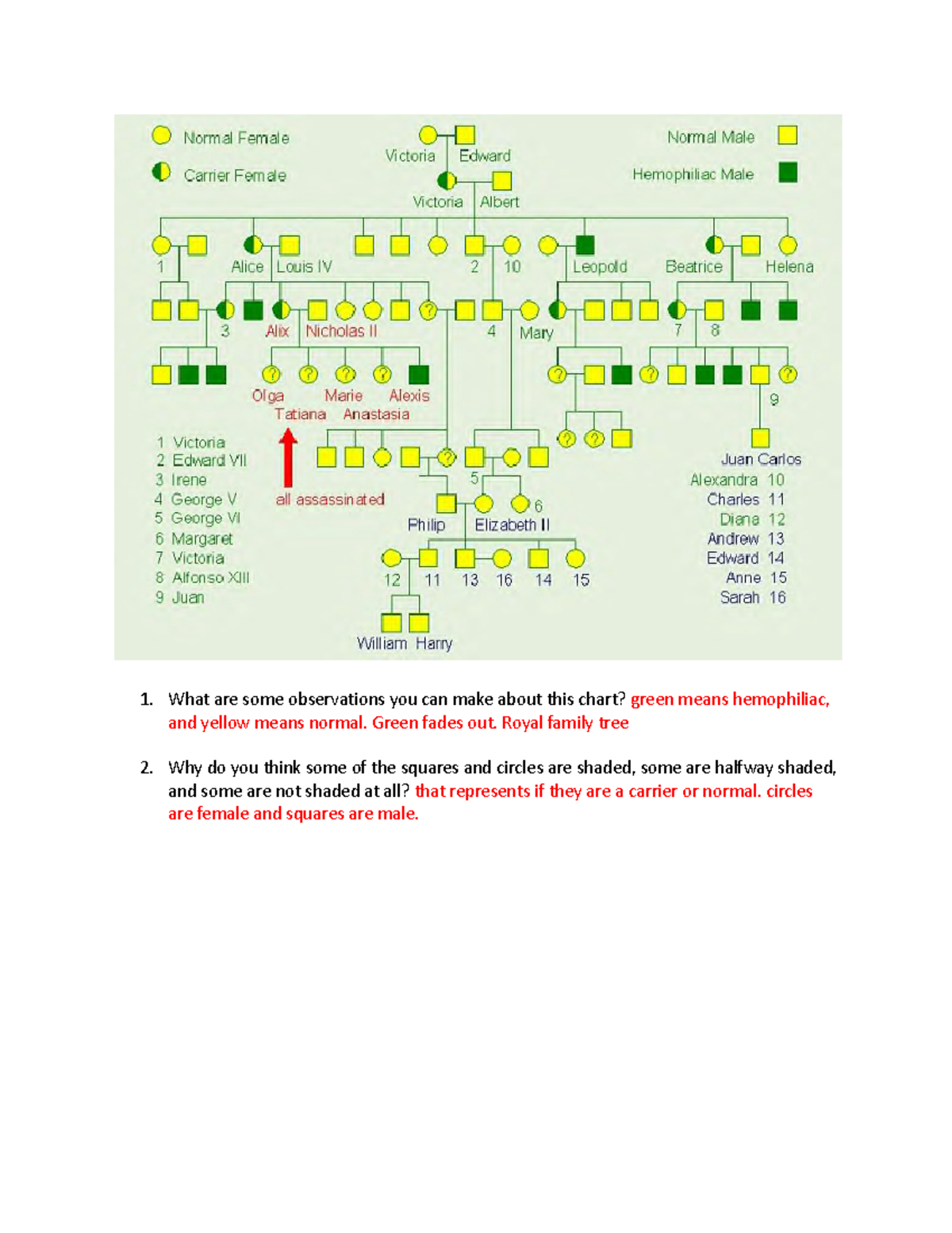 Pedigree Intro Bellringer - What are some observations you can make ...