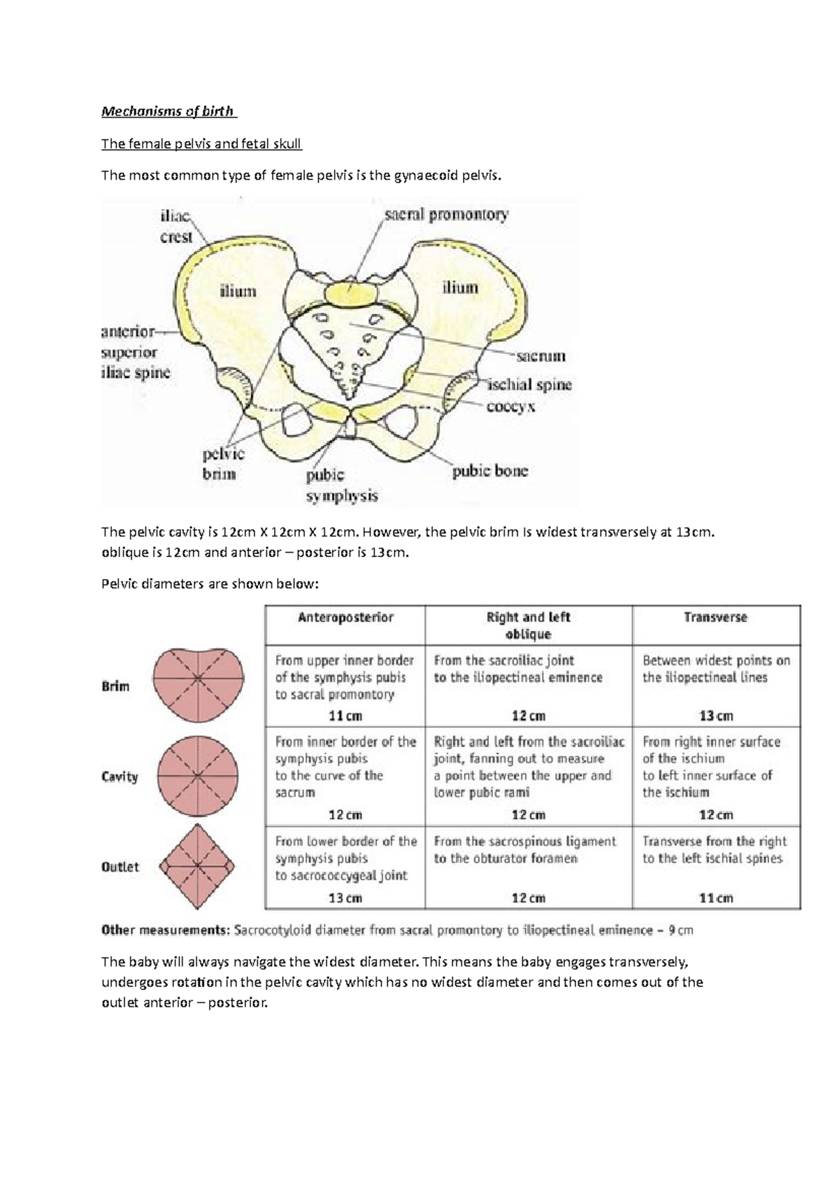 Mechanisms of birth - midwifery 2107 intake - Mechanisms of birth The ...