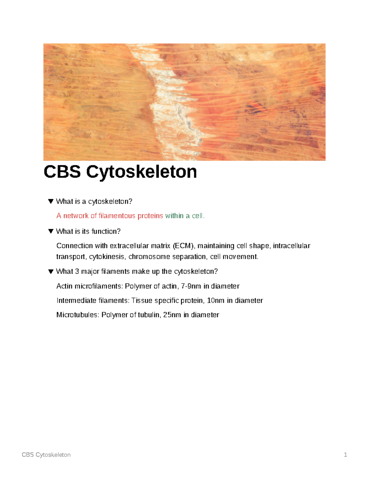 CBS Cytoskeleton - CBS Cytoskeleton What is a cytoskeleton? A network ...