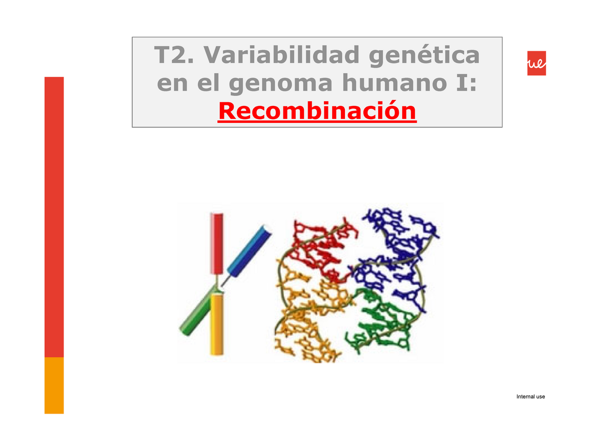 Variabilidad GENÉTICA- Recombinación - T2. Variabilidad Genética En El ...