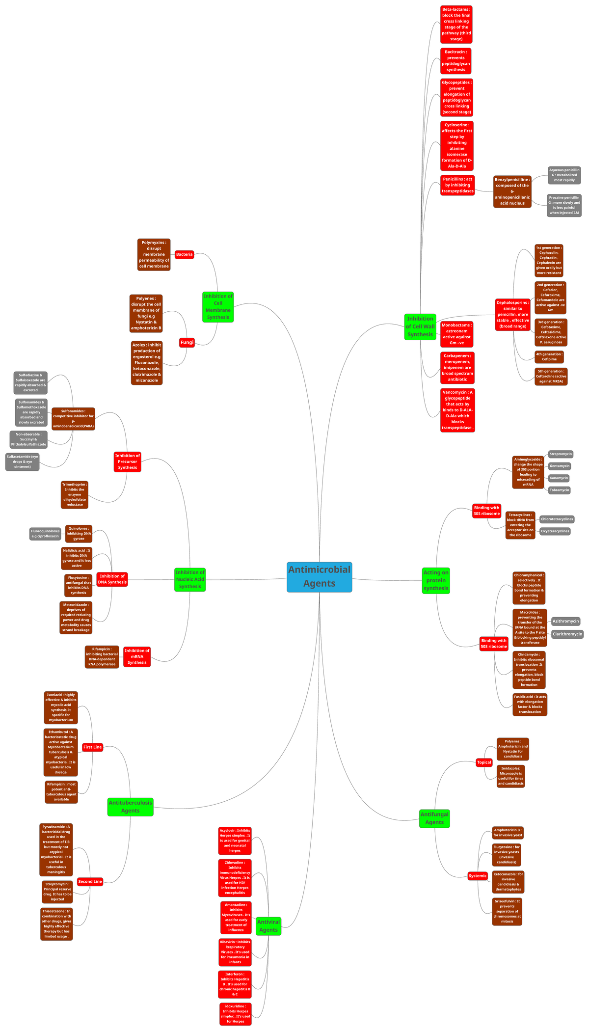 Pharmaceutical Microbiology Mind Map - Antimicrobial Agents Inhibition ...