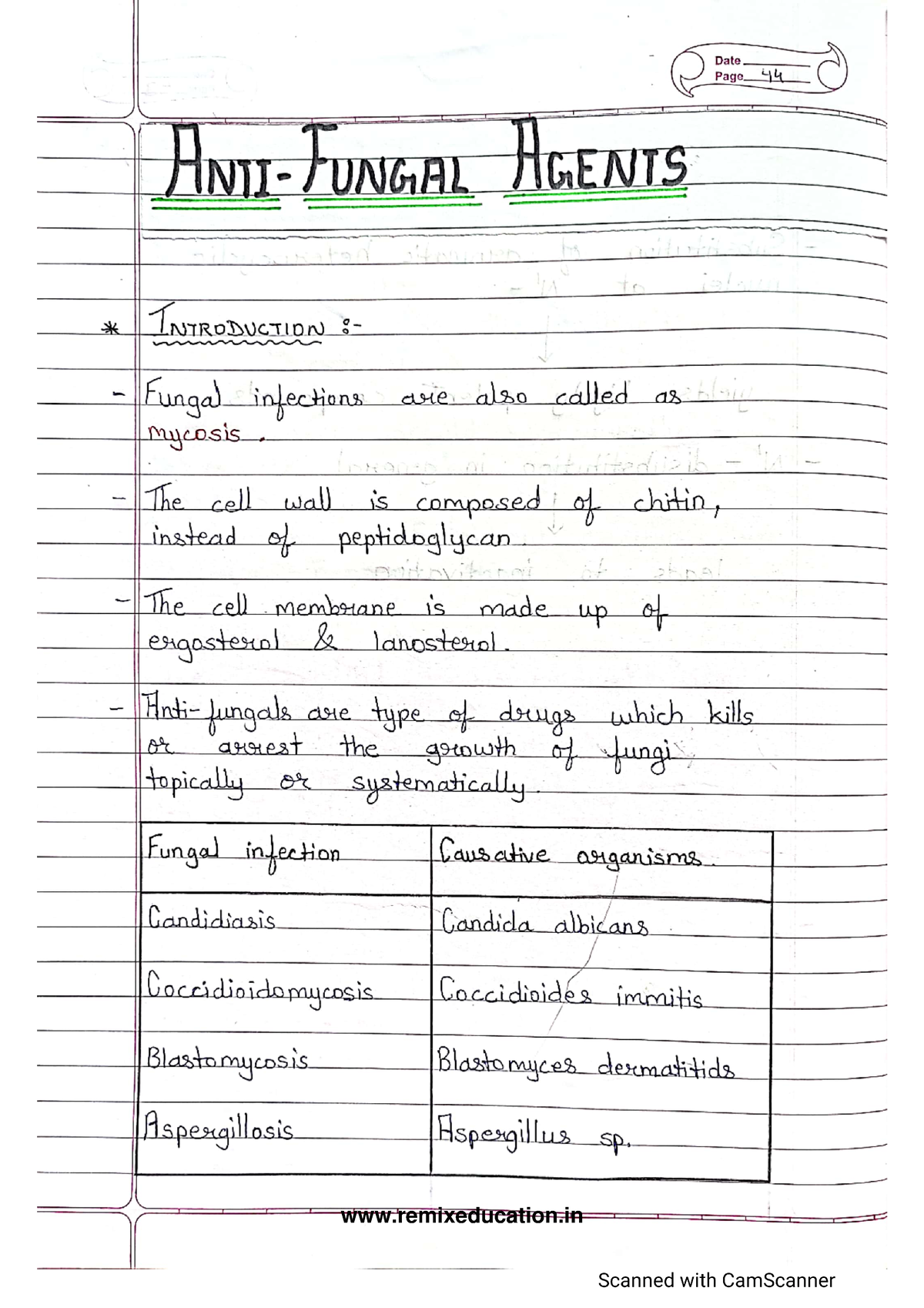 Anti-Fungal Agents - Notes - B Pharmacy - Studocu