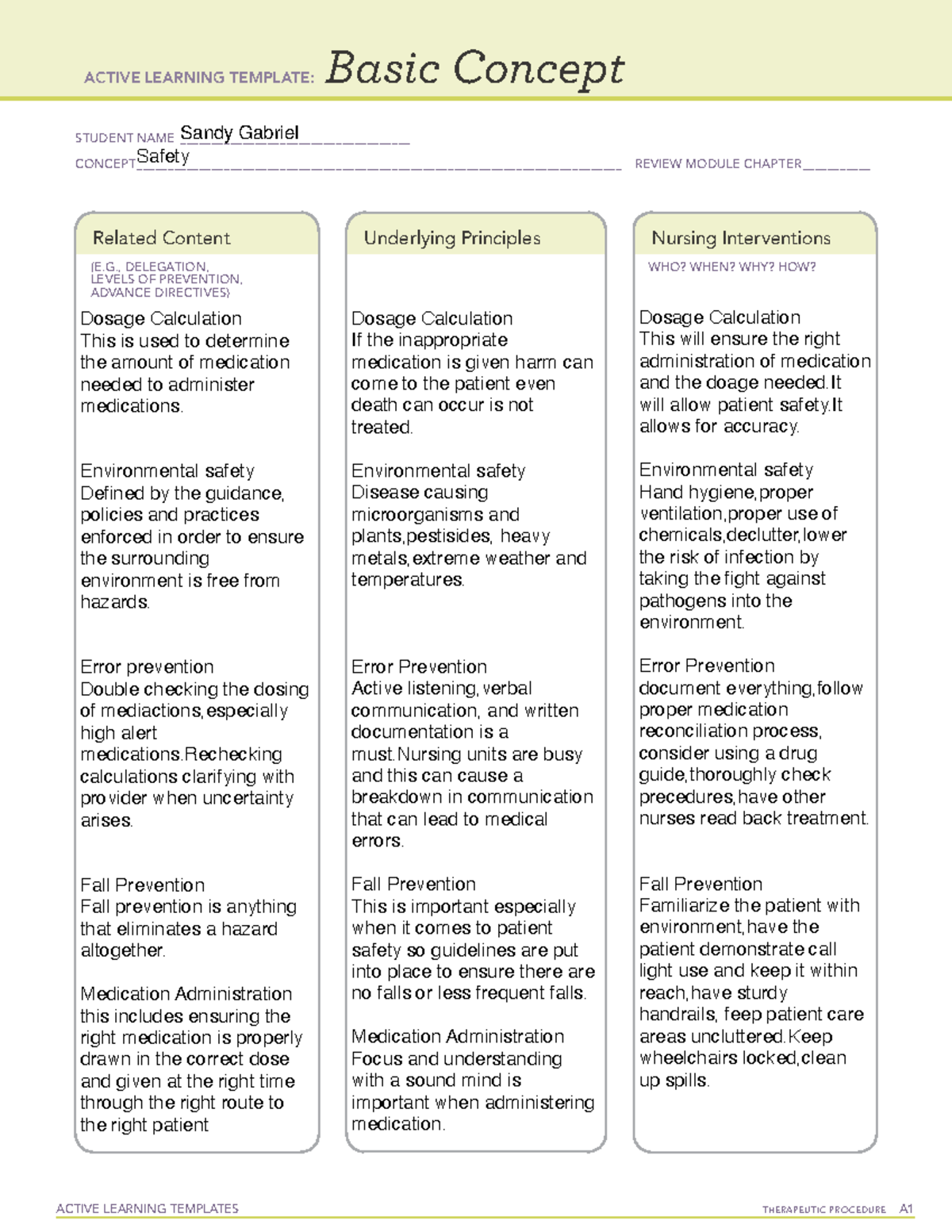 Safety 2 - concept map - ACTIVE LEARNING TEMPLATES TherapeuTic ...