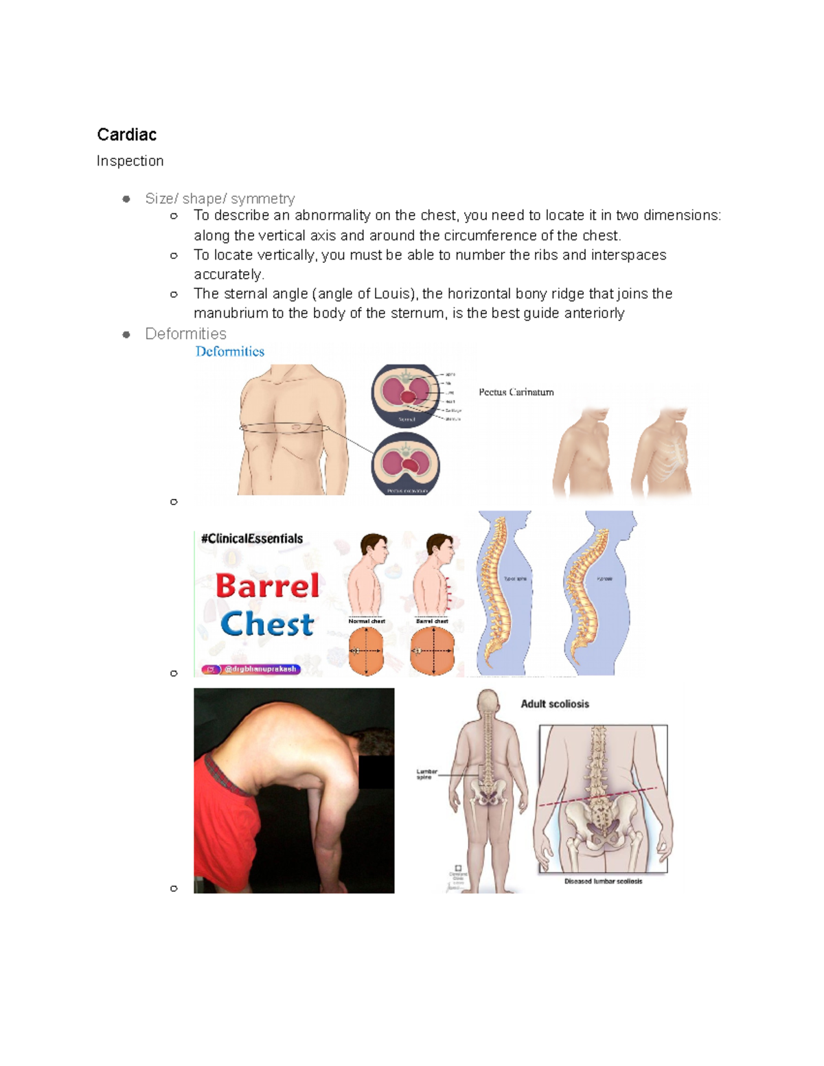 Cardiology Bates Assessment -PA - Cardiac Inspection Size/ shape ...