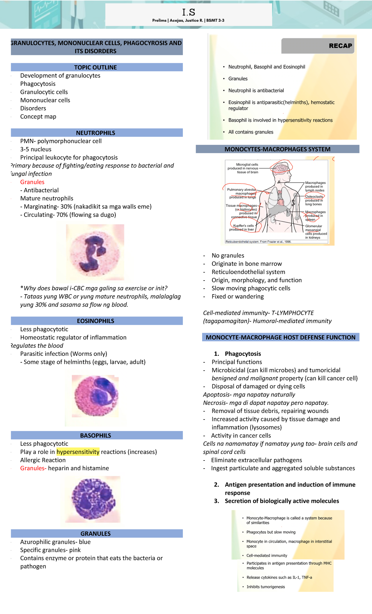 IS prelim reviewer tice - GRANULOCYTES, MONONUCLEAR CELLS, PHAGOCYROSIS ...