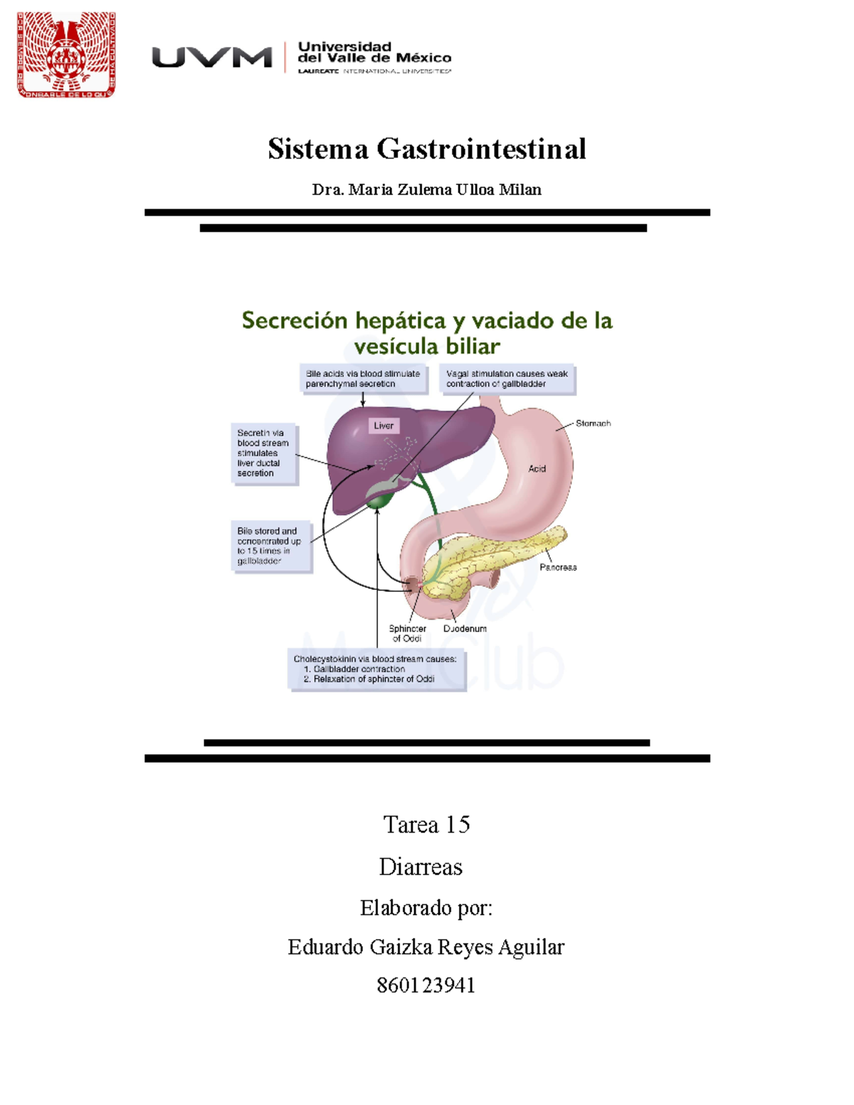 Diarreas - Sistema Gastrointestinal Dra. Maria Zulema Ulloa Milan Tarea