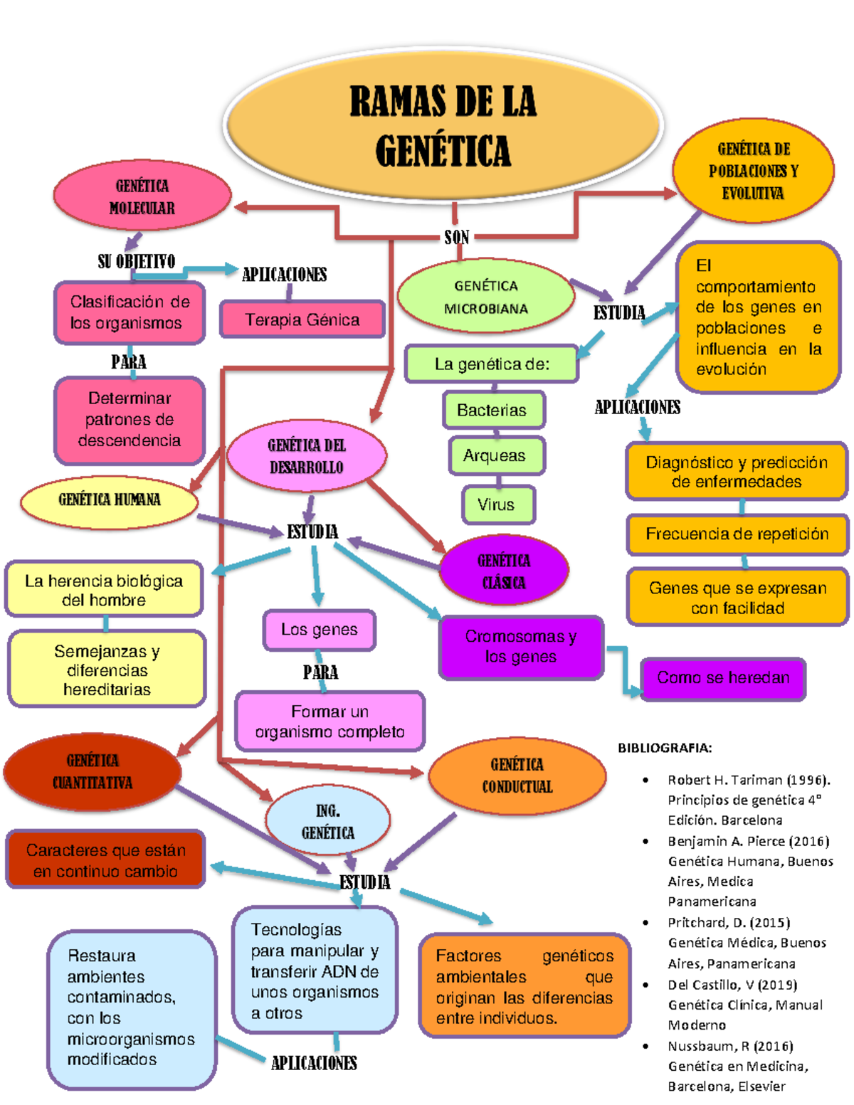 Mapa Conceptual Gen Tica B Sica Ramas De La Gen Tica Gen Tica De Poblaciones Y Evolutiva