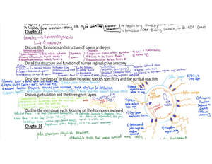 Cell Structure - Summary Of - Topic: Studying Cells Cells Are The Basic ...