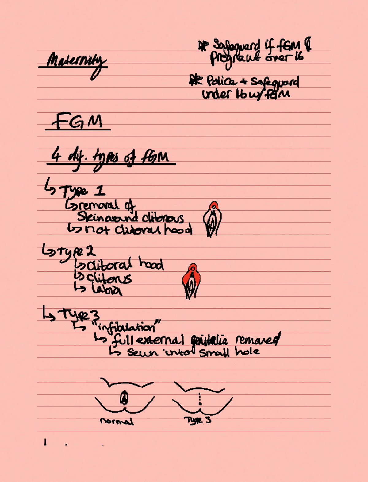 Note 1 Apr 2022 - Paramedic science class notes - Safeguard if fam ...
