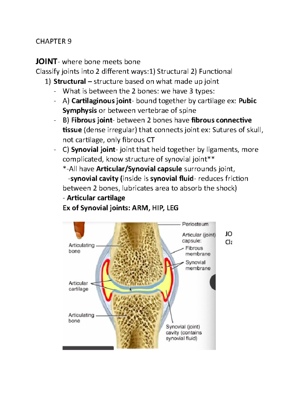 Chapter 9 Joints Lecture Notes Ch9 Chapter 9 Joint Where Bone