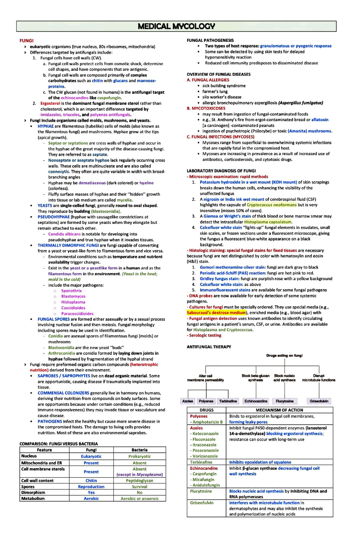 Summarized Mycology Notes - microbiology - Studocu