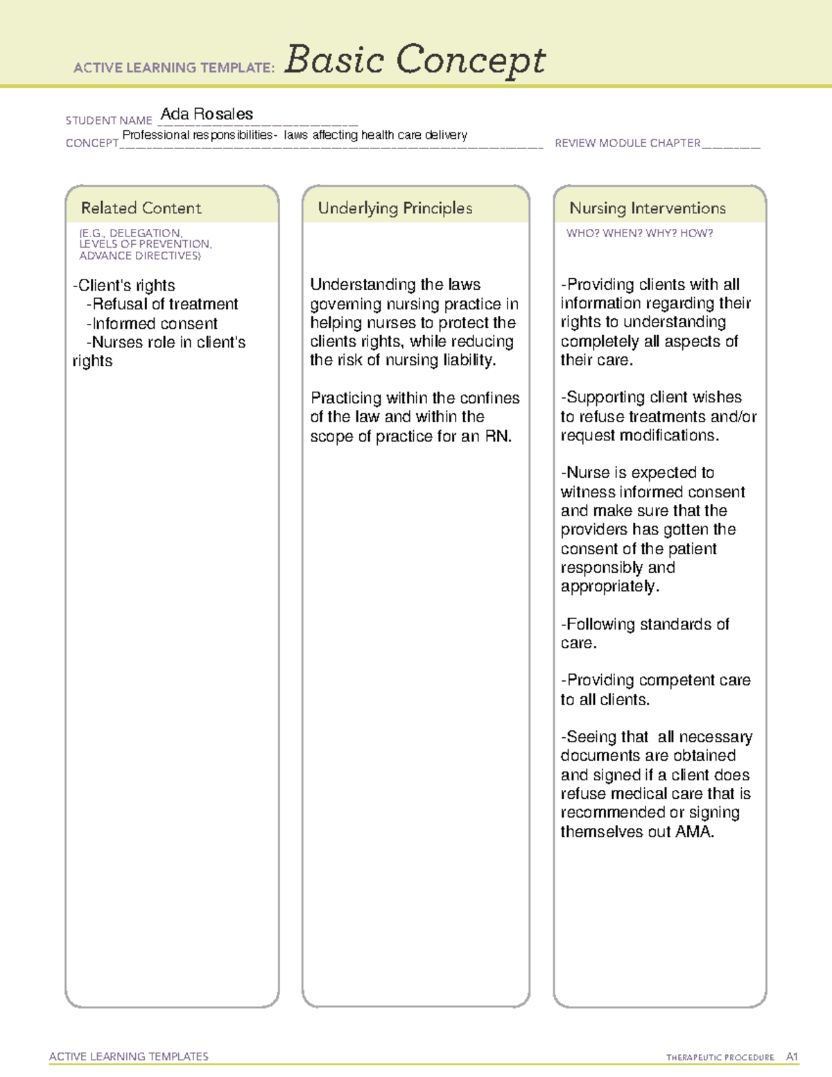 template-1-leadership-responsibilities-template-affecting-healthcare