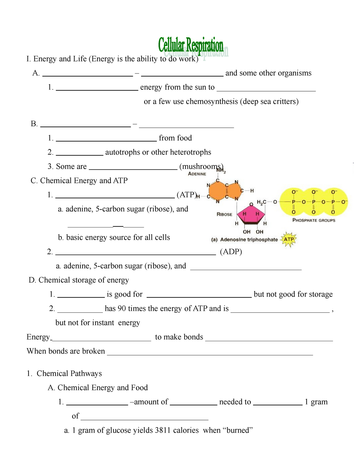 Cellular respiration notes - I. Energy and Life (Energy is the ability ...