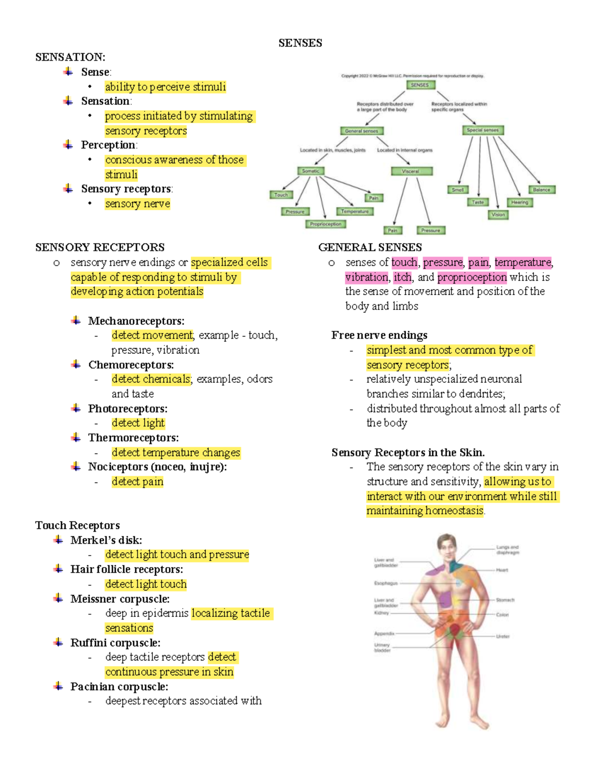 Senses - SENSES SENSATION: Sense: - ability to perceive stimuli ...