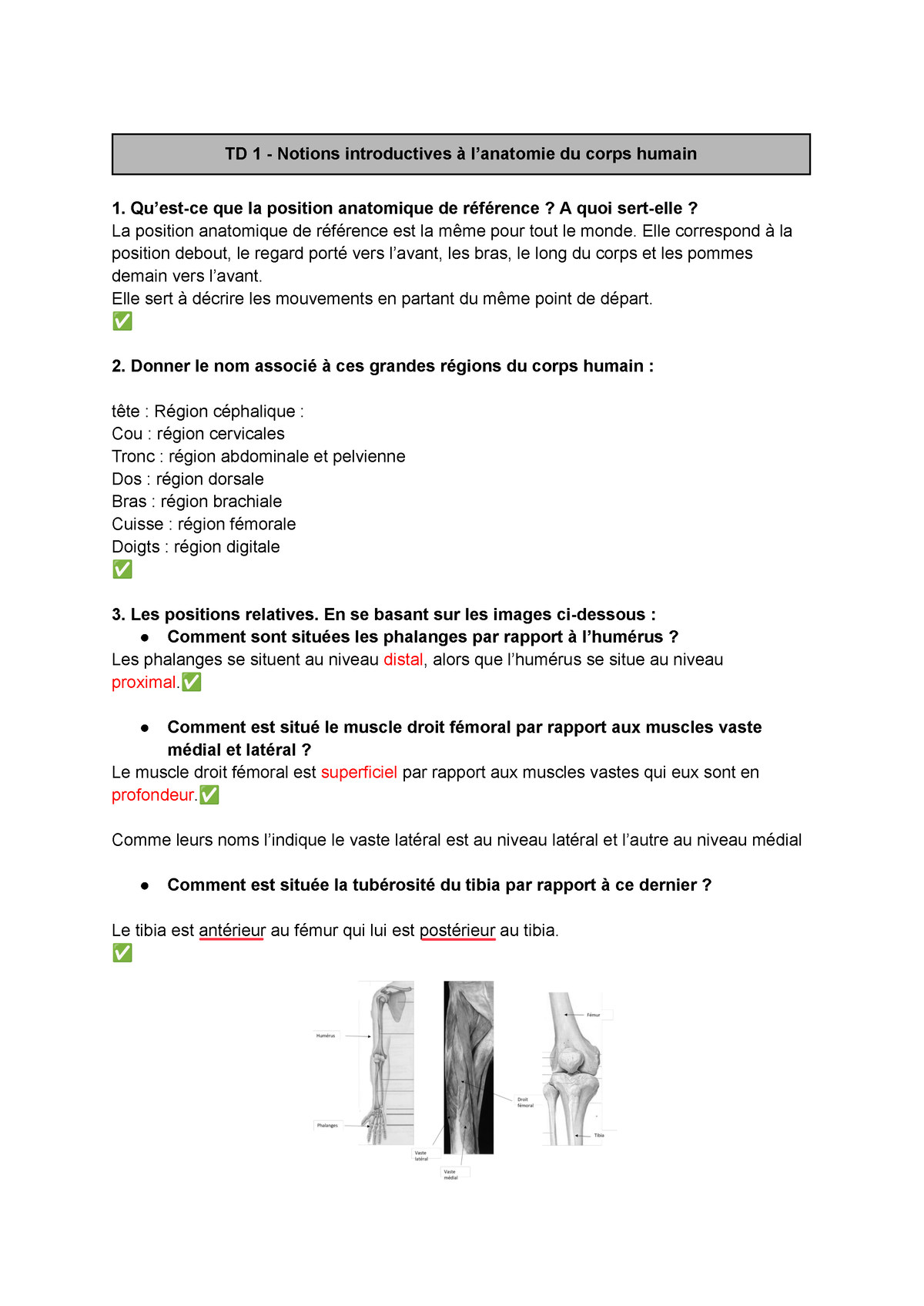 td-1-td-1-notions-introductives-l-anatomie-du-corps-humain-qu