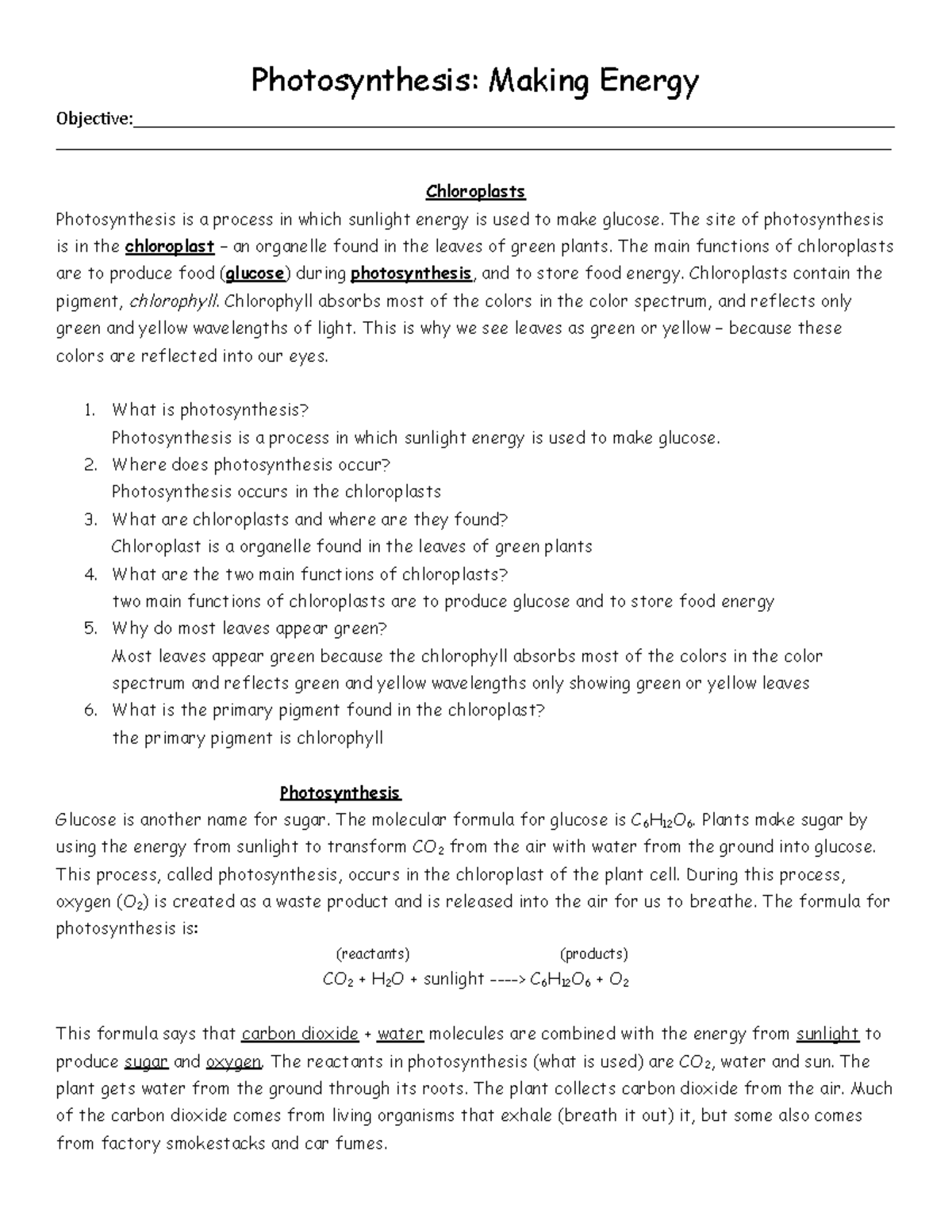 photosynthesis making energy worksheet pdf