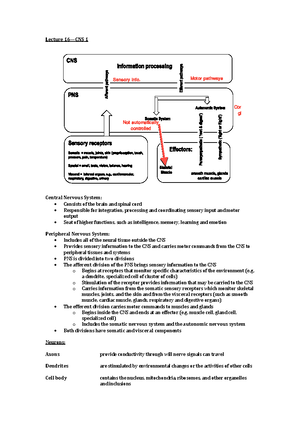 [Solved] Cerebrospinal Fluid Is Located Within The A Cerebral Cortex B ...