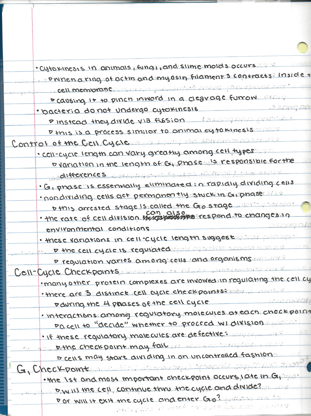 Chapter 13 Biology - BIO 111 - Studocu