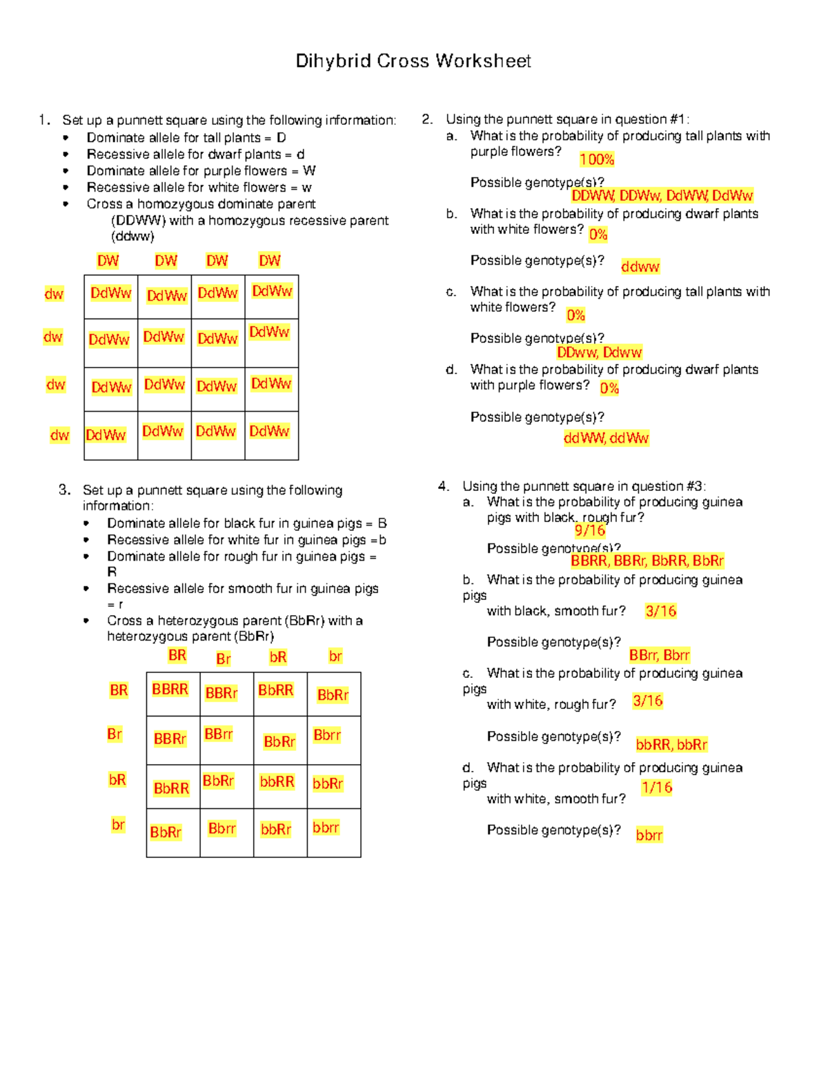 Biology 1 - Dihybridcross Punnett Square Notes - Dihybrid Cross Worksheet  1. Set up a punnett square - Studocu