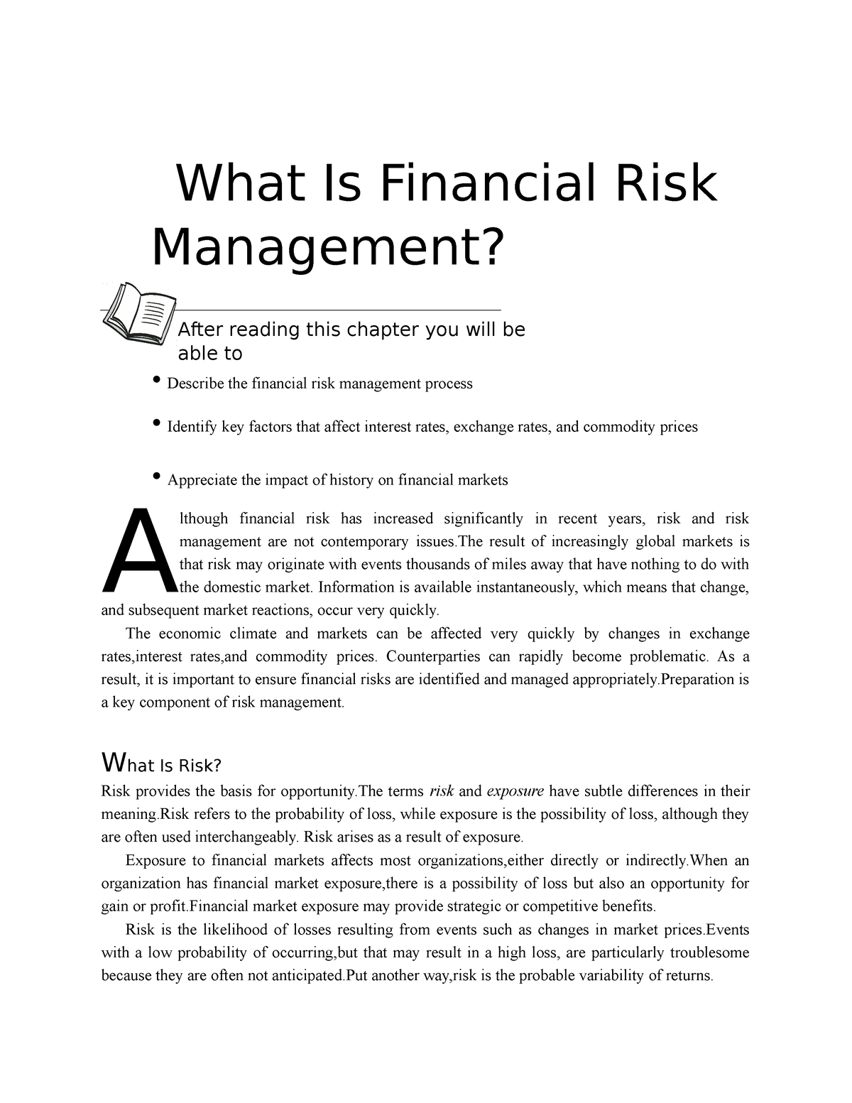 financial risk essay