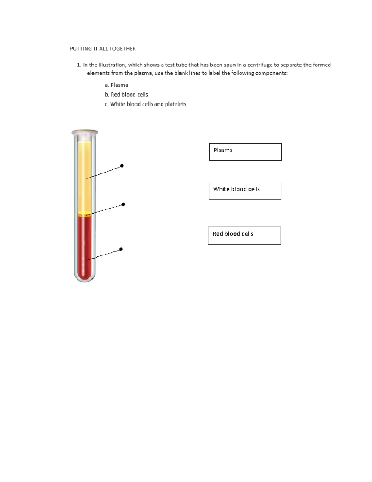 Heart and Blood Vessels Lab Plasma White blood cells Red blood cells Pulmonary semi lunar