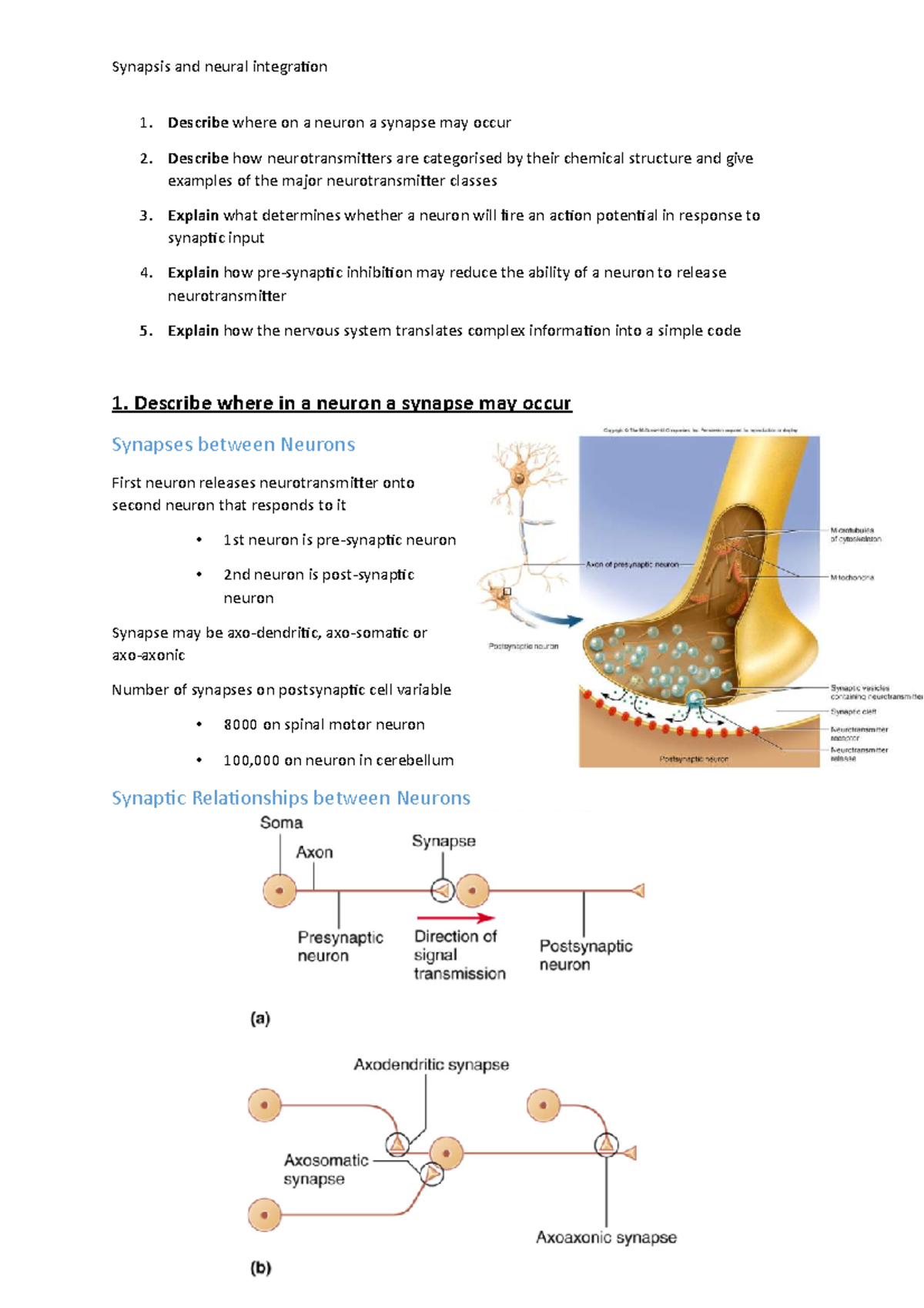 Synapses and Neural Integration - Describe where on a neuron a synapse ...