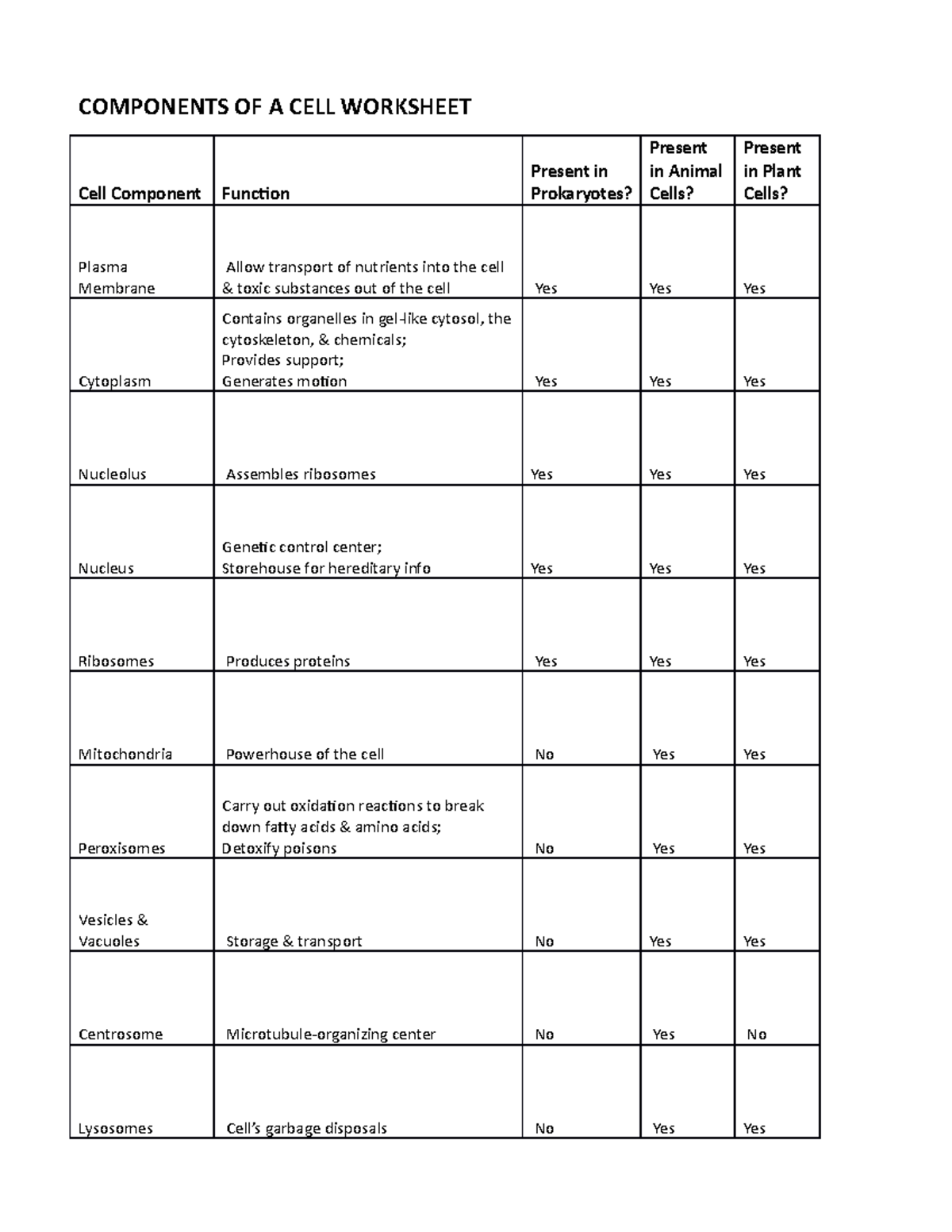 bio-1404-lecture-chapter-4-parts-of-a-cell-spreadsheet-components