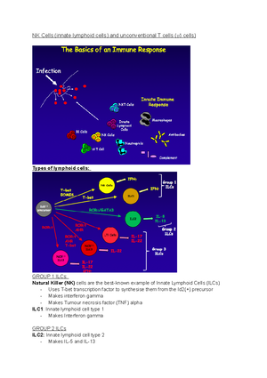 Immunology - lecture 3 (B cells antibody structure) - B cells ...