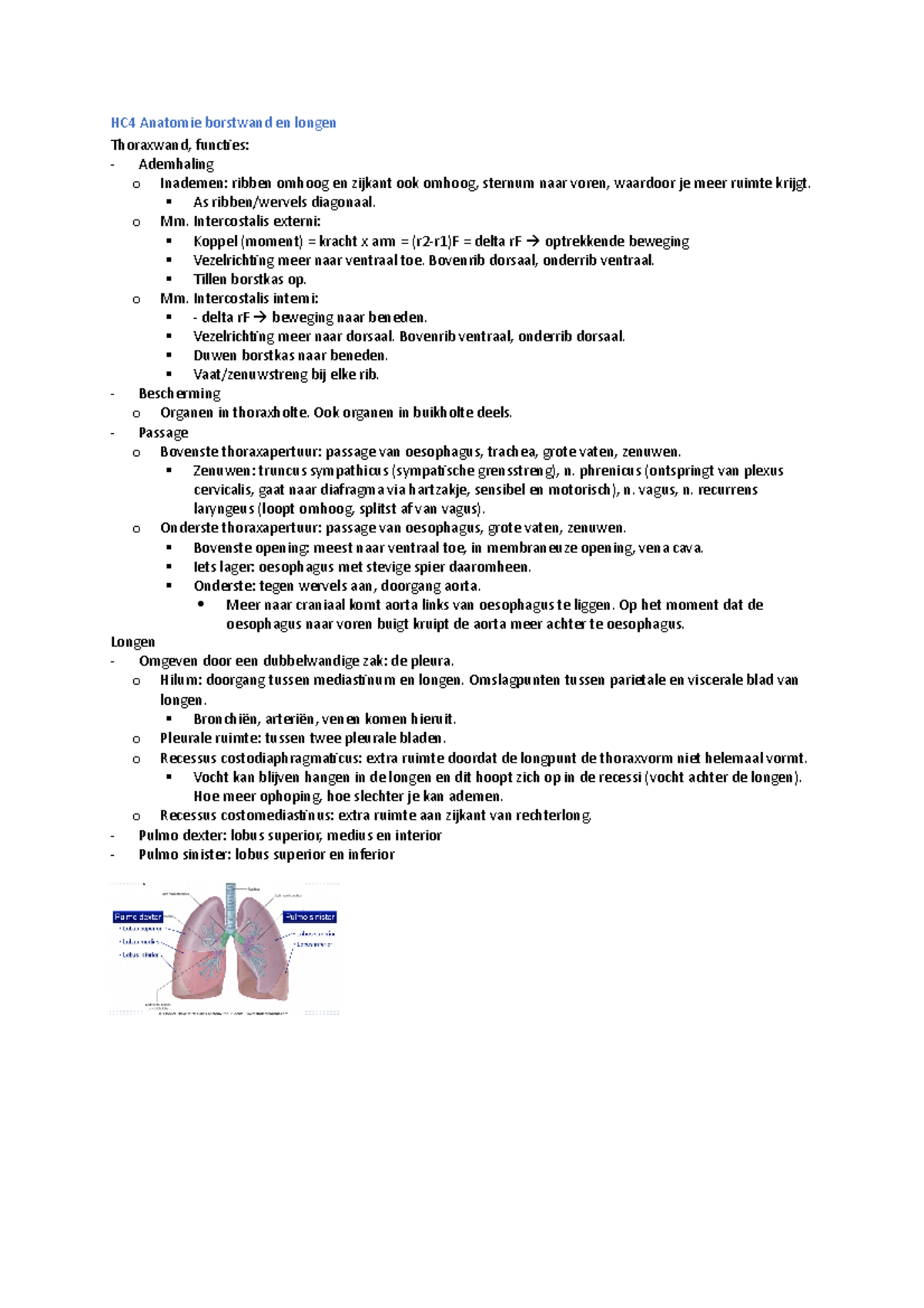 Hc4 Anatomie Borstwand En Longen - Hc4 Anatomie Borstwand En Longen  Thoraxwand, Functies: Ademhaling - Studeersnel