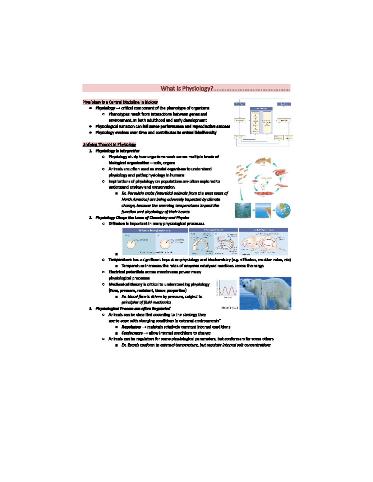1. What is Physiology Pdf note - MED 279 - Studocu
