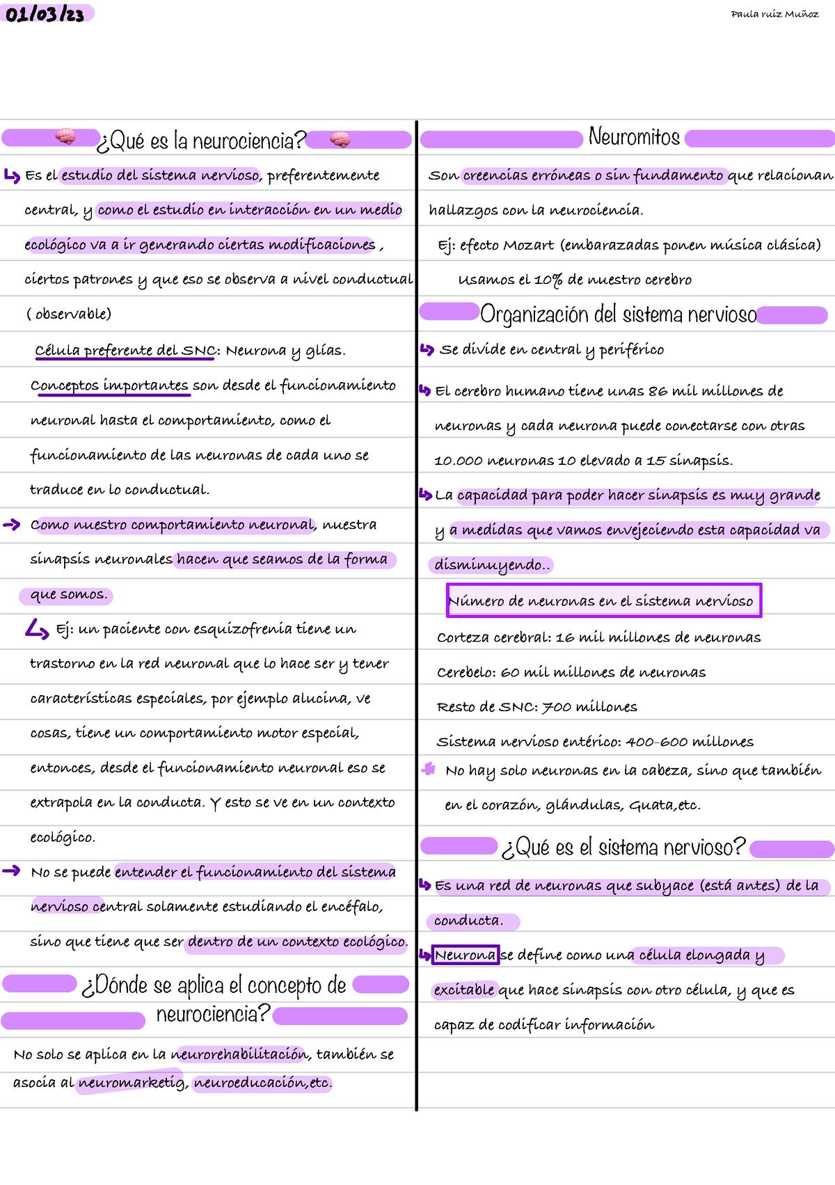 Neurociencia 2 - ¿Qué Es La Neurociencia? Es El Estudio Del Sistema ...